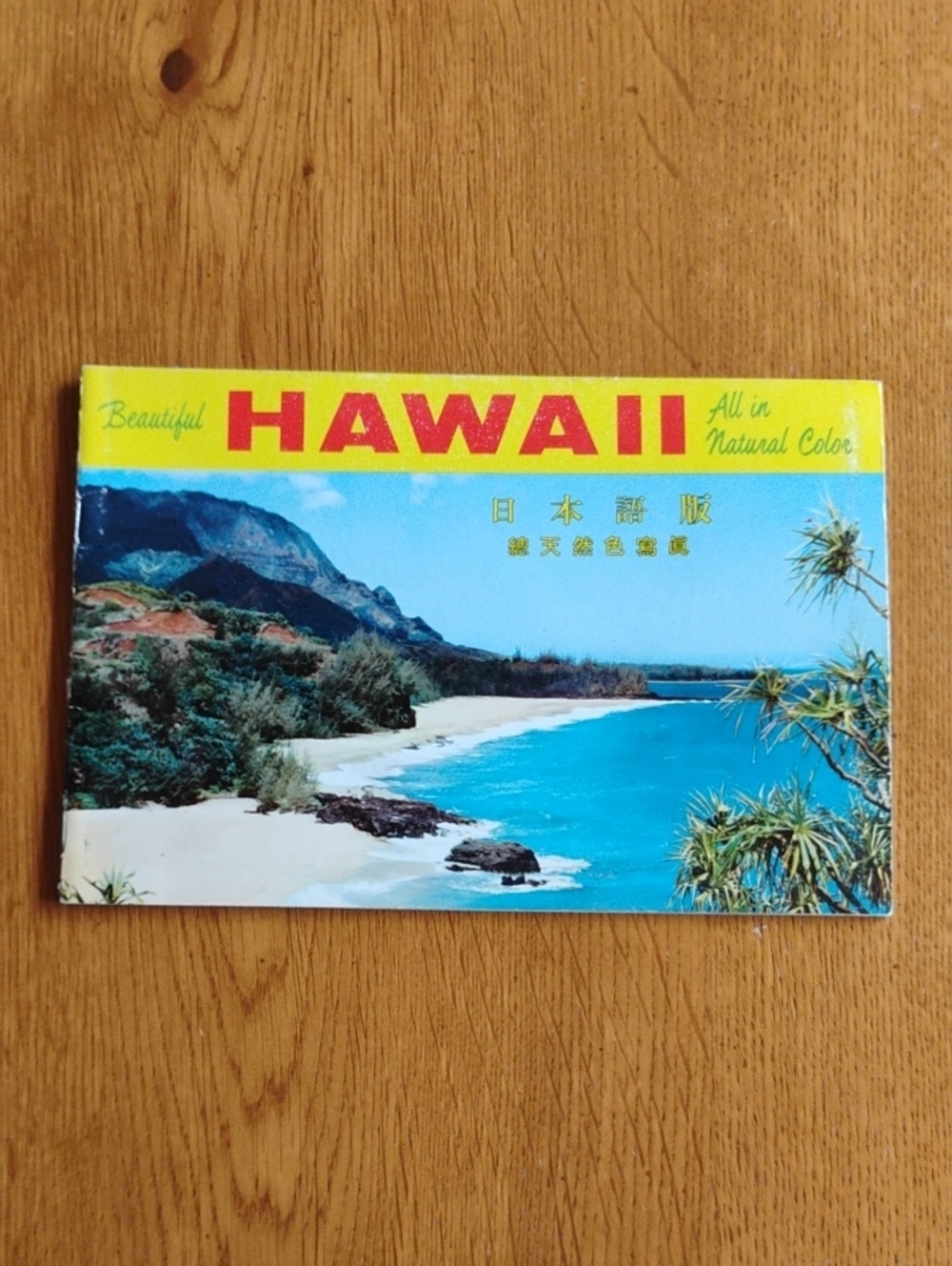 Vintage Hawaii Full Color Pictorial Brochure English & Japanese Souvenir